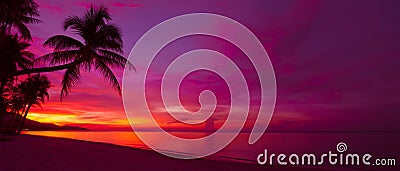 Tropical sunset Stock Photo