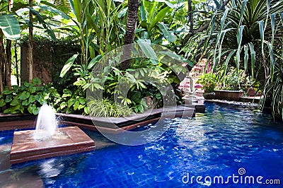 Tropical swimming pool Stock Photo