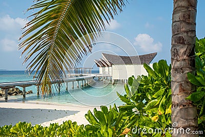 Tropical tranquil beautiful landscape sandy beach near ocean and palm trees at island luxury resort Stock Photo