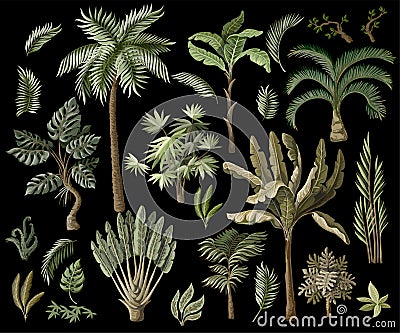 Tropical tree elements such as palm, banana, monstera and other isolated. Vector. Vector Illustration