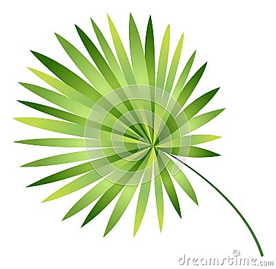 Tropical tree leaf. Exotic rainforest plant foliage Vector Illustration