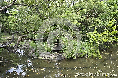 Tropical trees and pond in the botanical garden Taipei Stock Photo