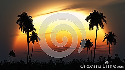 Tropical twilight sun highlights palm silhouettes Stock Photo