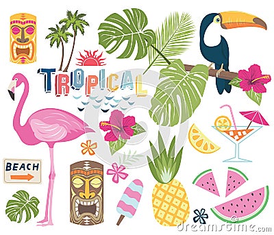 Tropical Vector Collection Vector Illustration