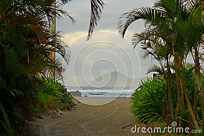 Dirty walkway leading to the beach along palm trees Stock Photo