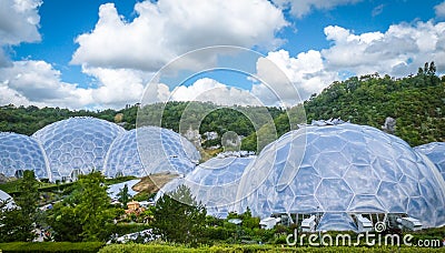 Tropical vegetation in the Eden Project, Corwnall Stock Photo