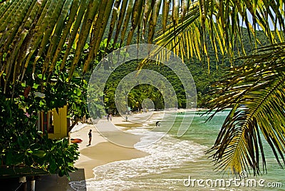 Tropical view Stock Photo