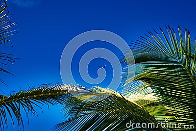 Tropical view in beautiful Punta Cana Stock Photo