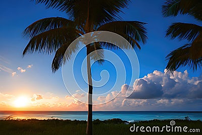 Tropical view with palm trees and beautiful turquoise sea and beach with white sand, tropical vacation landscape. Generative Ai Cartoon Illustration