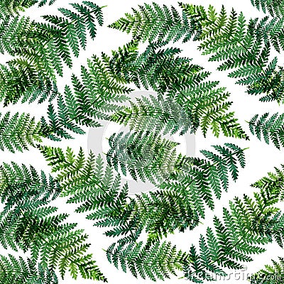 Tropical watercolor abstract pattern with fern leaves Stock Photo