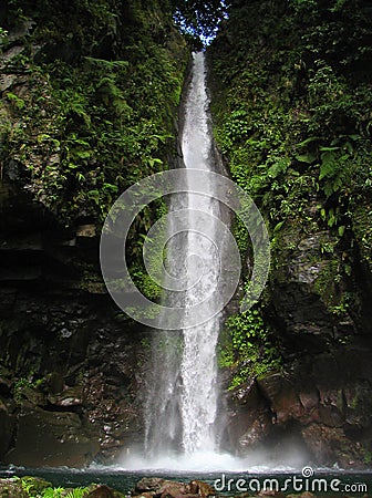 Tropical waterfall Stock Photo