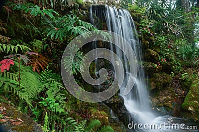 Tropical Falls Stock Photo