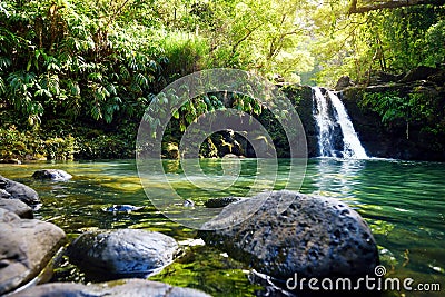 Tropical waterfall Lower Waikamoi Falls and a small crystal clear pond, inside of a dense tropical rainforest, off the Road to Han Stock Photo