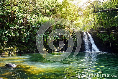 Tropical waterfall Lower Waikamoi Falls and a small crystal clear pond, inside of a dense tropical rainforest, off the Road to Han Stock Photo