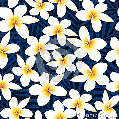 Tropical white frangipani plumeria flower seamless pattern Vector Illustration