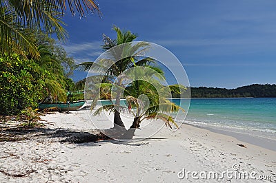 Tropical white sand beach, Koh Rong island, Cambodia Stock Photo