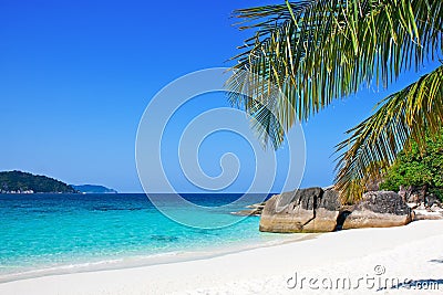 Tropical white sand beach with palm trees Stock Photo