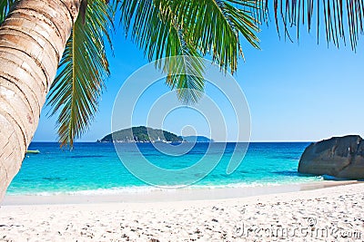 Tropical white sand beach with palm trees Stock Photo