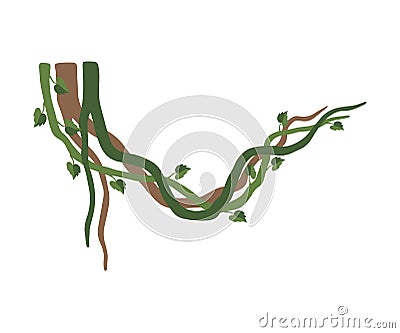 Tropical Winding Liana Branches, Jungle Plant Decorative Element, Rainforest Flora Vector Illustration Vector Illustration