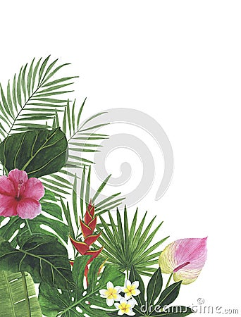 Tropics flowers hibiscus Watercolor illustrations Botanical decorations Decoration Postcard Invitation design decoration congratul Cartoon Illustration