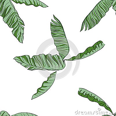 Tropics monstera leaves bananon palm patern seamless Cartoon Illustration