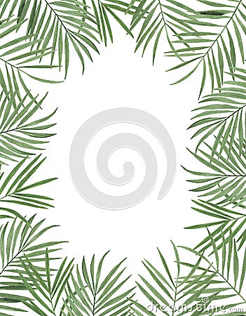 Tropics Watercolor illustrations Botanical decorations Decoration Postcard Invitation design decoration congratul Cartoon Illustration