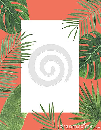 Tropics Watercolor illustrations Botanical decorations Decoration Postcard Invitation design decoration congratul Cartoon Illustration