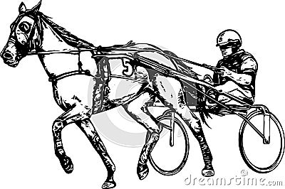 Trotter in harness drawing Vector Illustration
