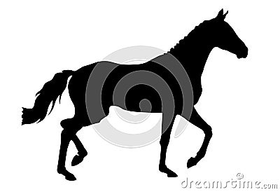 Trotting horse Cartoon Illustration