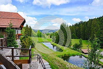 View over trout ponds to valley and fir covered mountains in Black Forest - Schwarzwald - , Germany. Stock Photo