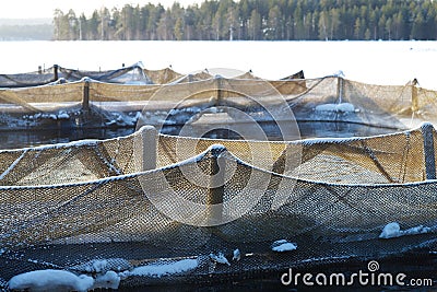 Trout farm Stock Photo