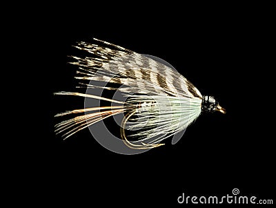 Trout Fishing Fly Stock Photo