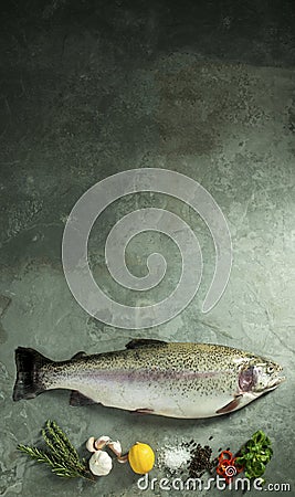 Trout and Fresh Herbs and Spices Stock Photo