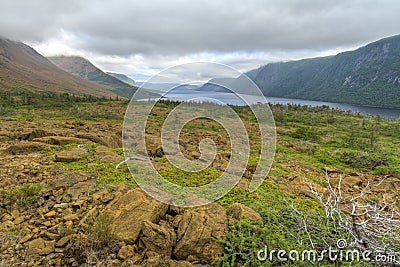 Trout River Pond and Tablelands Stock Photo