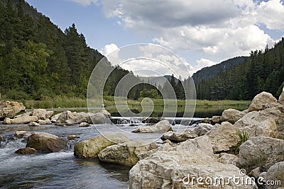 Trout stream in the Black Hills of South Dakota Stock Photo