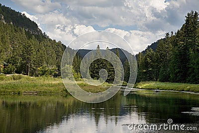 Trout stream in the Black Hills of South Dakota Stock Photo