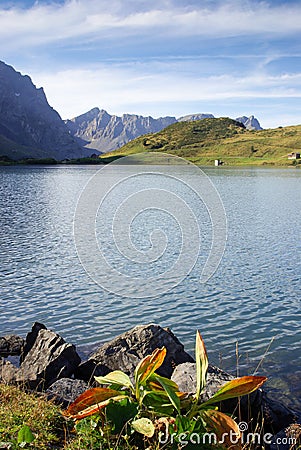 Trubsee Mountain Lake Switzerland Stock Photo