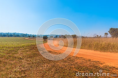 A Truck is driving on curve dirt road in savanna forest Stock Photo