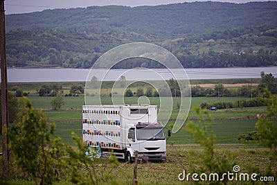 Truck with hives in the glade. car for transporting beehives Stock Photo