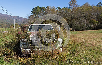 Truck Returning to Nature Stock Photo