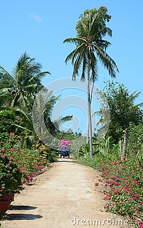 A truck running on rural road with many flowers in Vinh Long, Vietnam Editorial Stock Photo