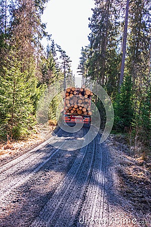Truck with timber driving on a muddy dirt road in the forest Editorial Stock Photo