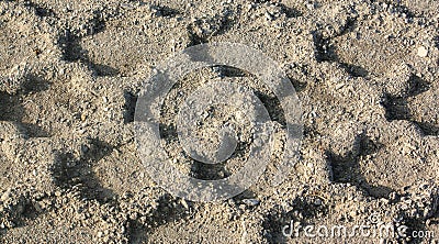 Truck or tractor tire pattern in the dirt. Stock Photo