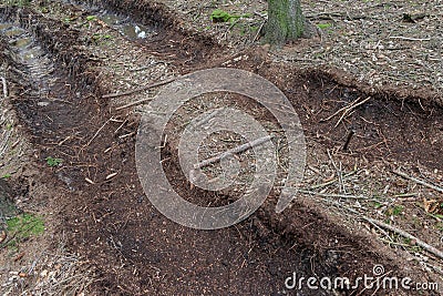 Truck track mud muddy road in forest Stock Photo