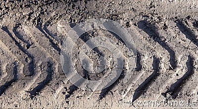 Truck wheel tracks on dryed mud Stock Photo