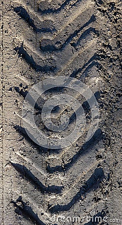 Truck wheel tracks on dryed mud Stock Photo