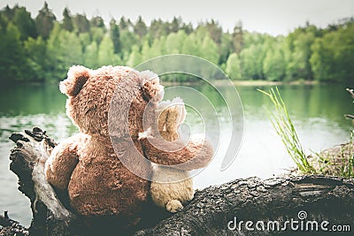 True friends, bunny and teddy bear are sitting side by side at lake, dreaming and remembering. Look forward. Back view Stock Photo