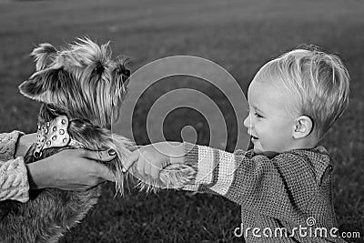 True friendship. Best friends forever. Happy childhood. Sweet childhood memories. Child play with yorkshire terrier dog Stock Photo