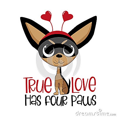 True love has four paws - cute chihuahua dog with hearts Vector Illustration