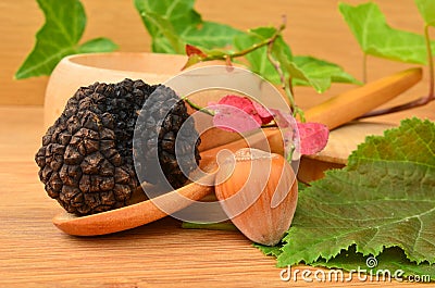 Truffle and hazelnut Stock Photo